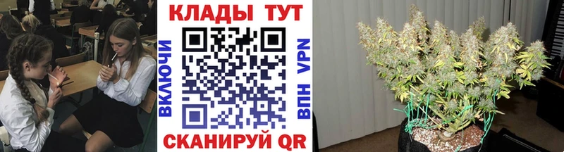  COCAIN Белозерск