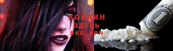 круглые Аркадак