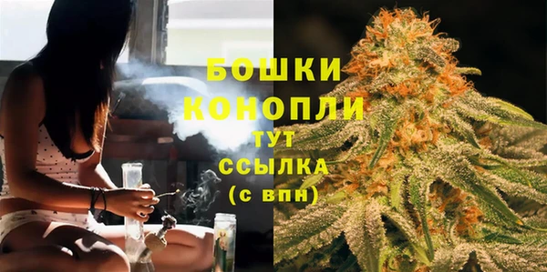 круглые Аркадак