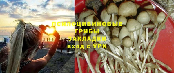 винт Сафоново