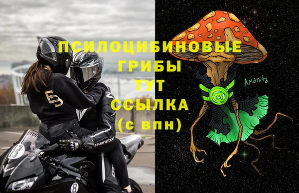 круглые Аркадак