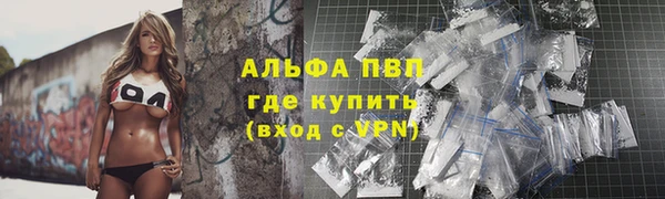 шишки Армянск