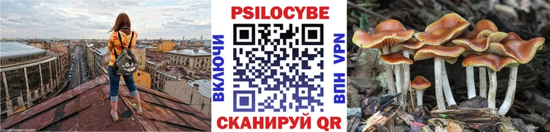 даркнет сайт  Белозерск  Псилоцибиновые грибы Psilocybine cubensis 